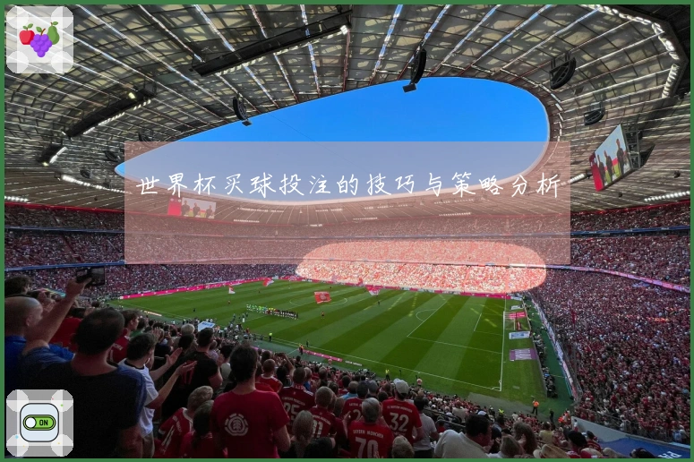世界杯买球投注的技巧与策略分析