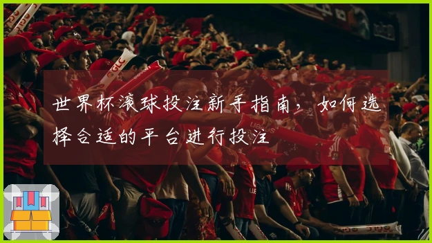 世界杯滚球投注新手指南，如何选择合适的平台进行投注