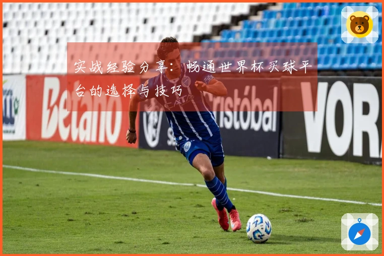 实战经验分享：畅通世界杯买球平台的选择与技巧