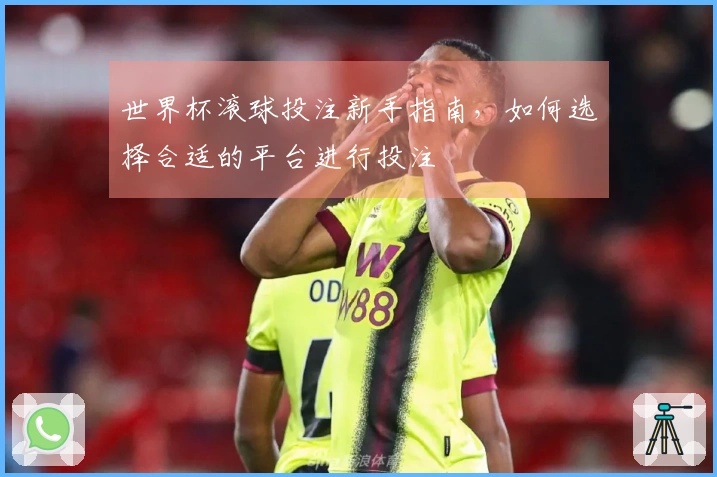 世界杯滚球投注新手指南，如何选择合适的平台进行投注