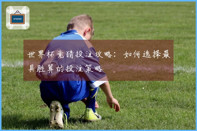 世界杯竞猜投注攻略：如何选择最具胜算的投注策略