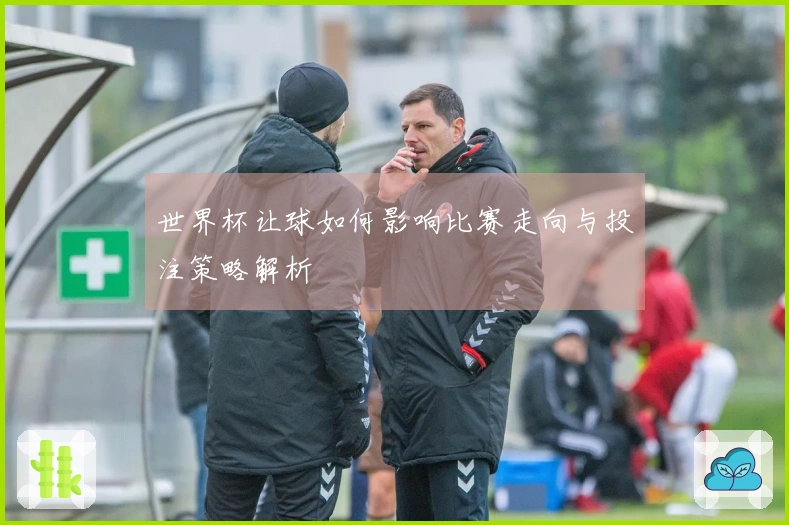 世界杯让球如何影响比赛走向与投注策略解析