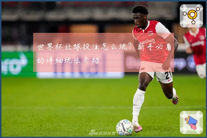 世界杯让球投注怎么玩？新手必看的详细玩法介绍