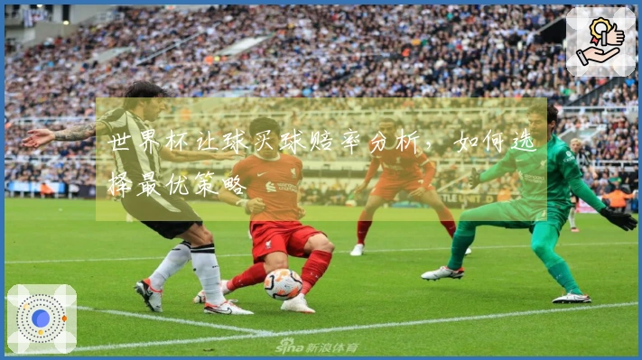 世界杯让球买球赔率分析，如何选择最优策略
