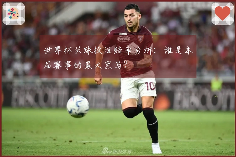 世界杯买球投注赔率分析：谁是本届赛事的最大黑马？